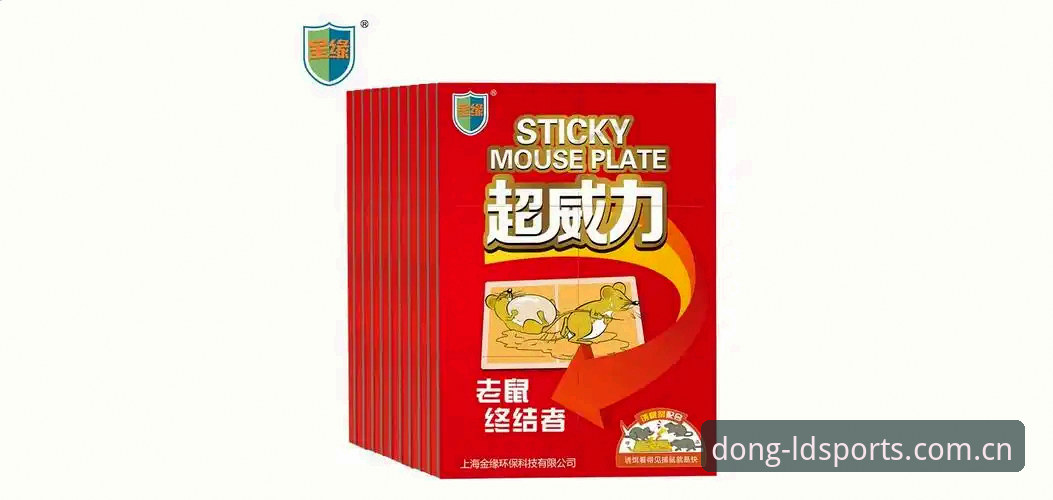 乐动体育下载安装最新操作指南：v2.0.6版本实测体验与常见问题解答