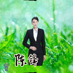 陈锋